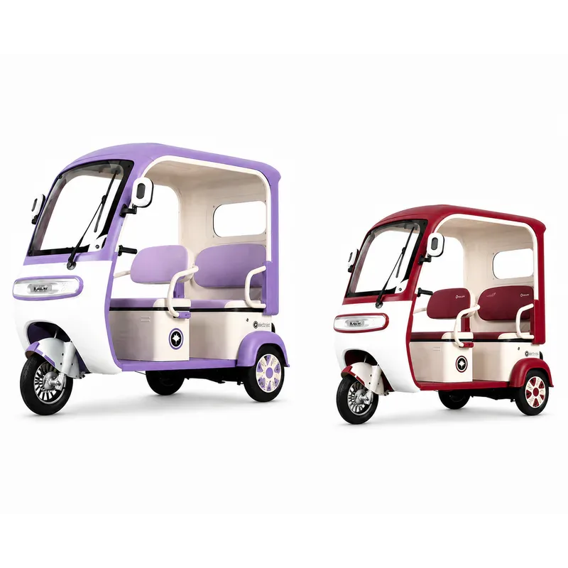 Tricimoto Eléctrica P9B