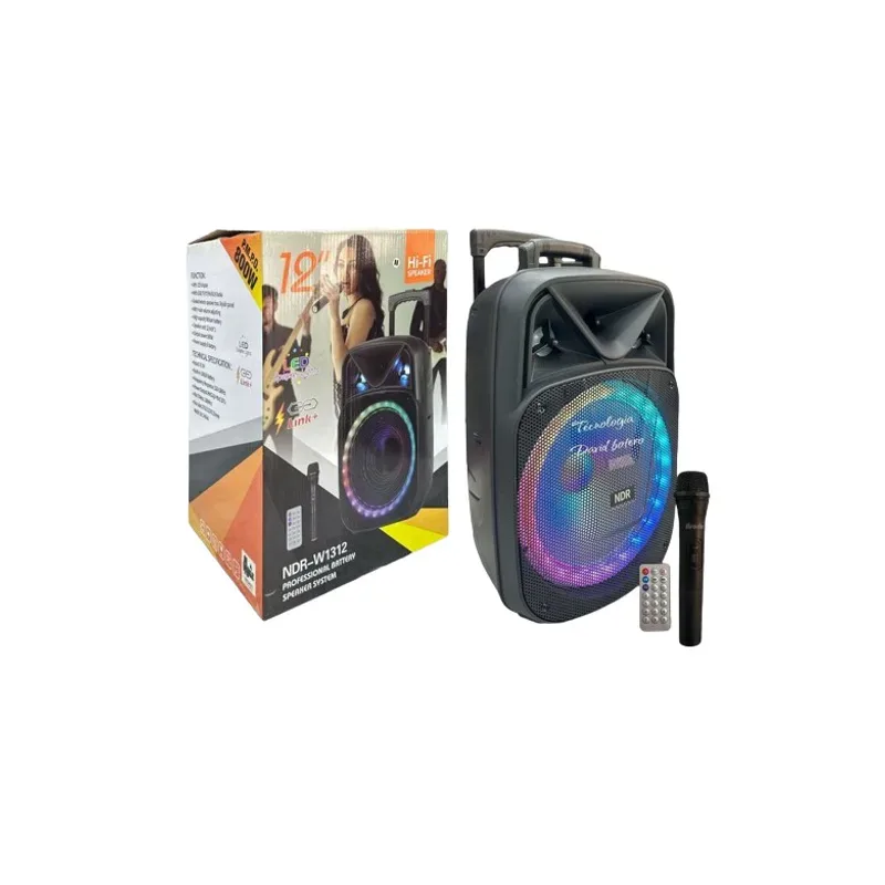 Parlante 12" NDR-W1312