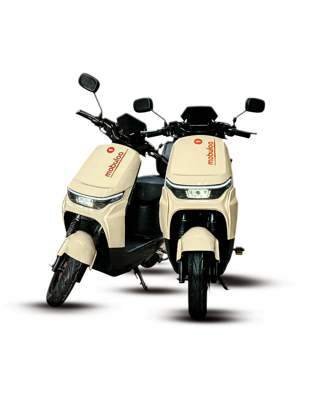 EB-11 APOLO