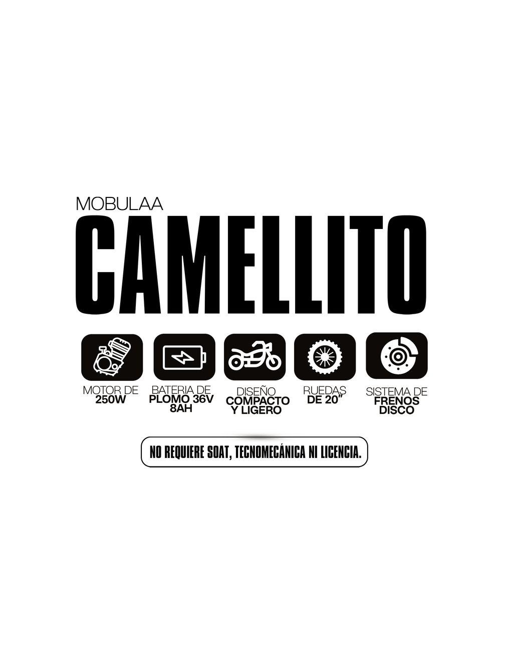 CAMELLITO