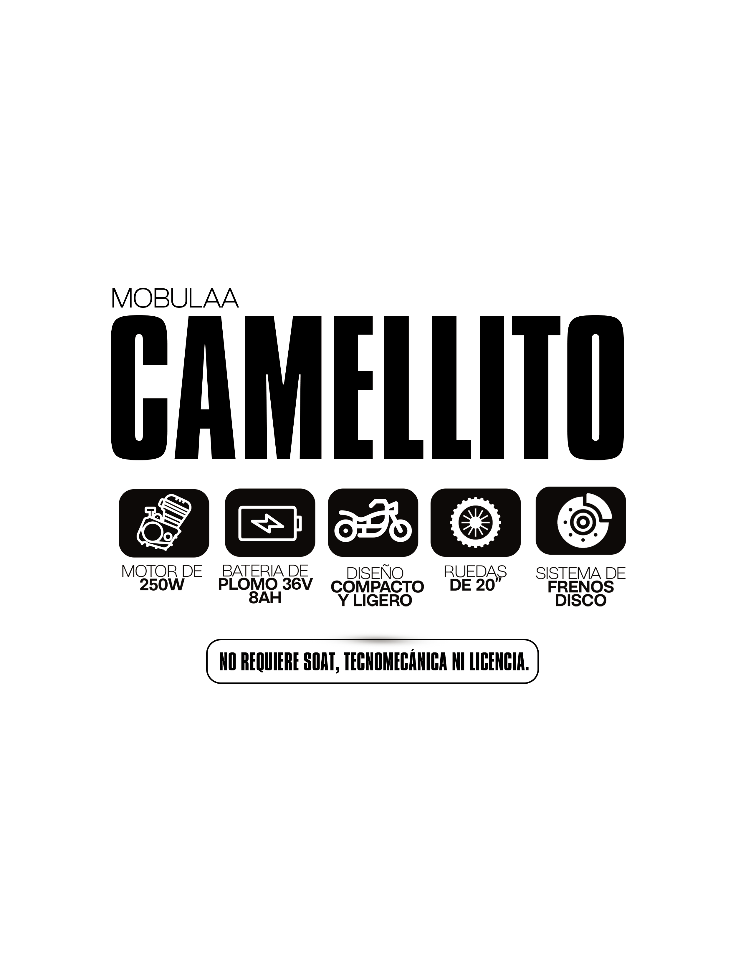 CAMELLITO