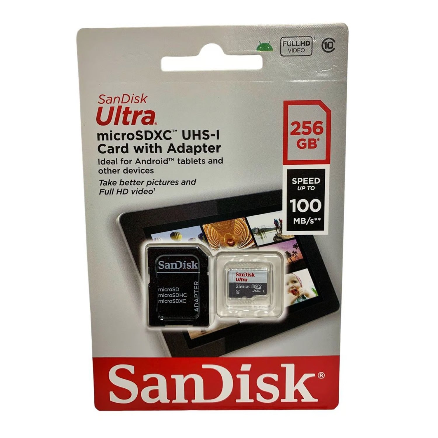 Memoria Micro SD 256 GB